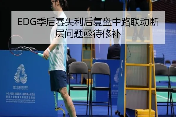 EDG季后赛失利后复盘中路联动断层问题亟待修补